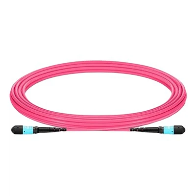 12-core Multimode Fiber Patch Cord