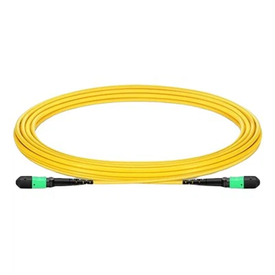 12-core Fiber Patch Cord
